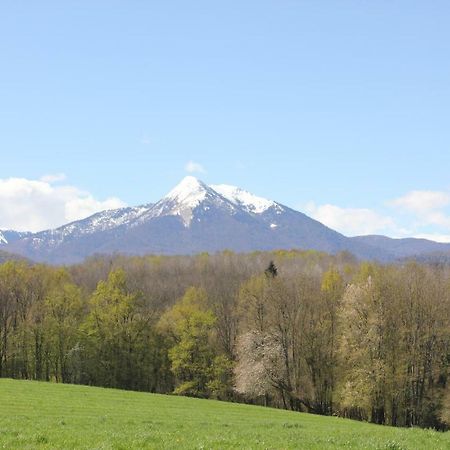 Maison Du Coue Pyrenees Mourtis Gite Pour 2 A 12 Pers Sengouagnet 外观 照片